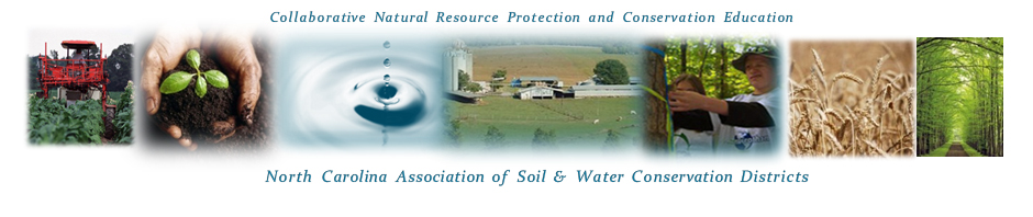 soil and water yours for life essay soil and water yours for life essay